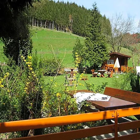 Restaurant Albans Sonne Hotel Bad Rippoldsau-Schapbach