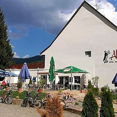 Restaurant Albans Sonne Bad Rippoldsau-Schapbach