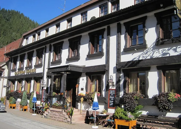 Hotel Restaurant Albans Sonne 3*